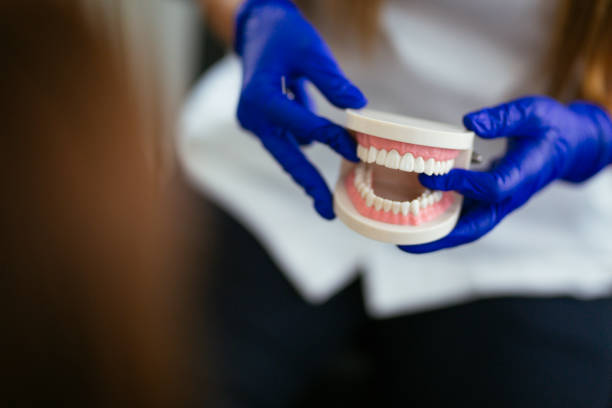  Oconto, WI Holistic Dental Care Services Pros